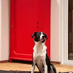 12er Loft 公寓 博塞尔贝格