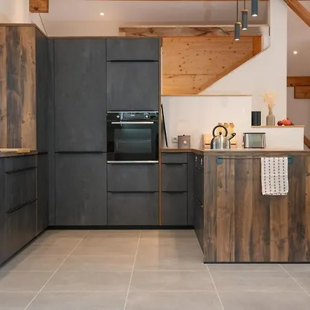 12er Loft Appartement Bürserberg