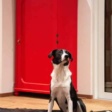 12er Loft Appartement Bürserberg